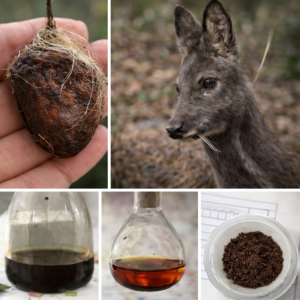 בורא מיני בשמים